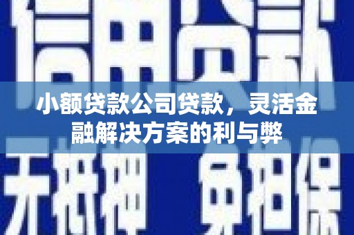 索县小额贷款公司贷款，灵活金融解决方案的利与弊