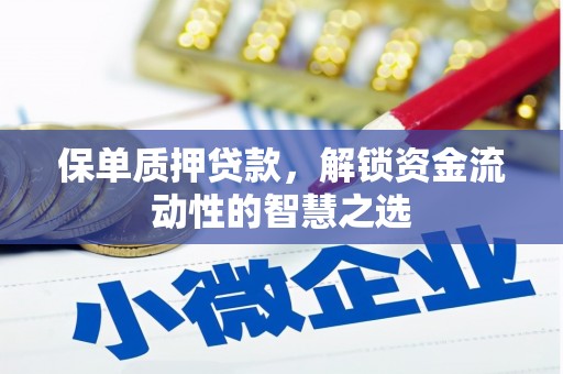 索县保单质押贷款，解锁资金流动性的智慧之选