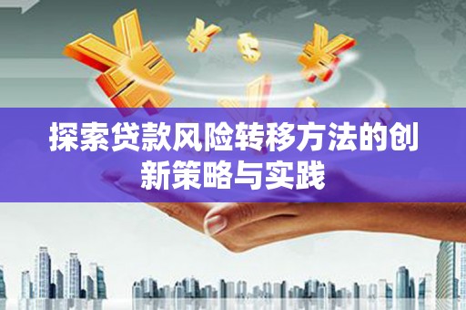 索县探索贷款风险转移方法的创新策略与实践