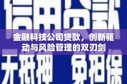 索县金融科技公司贷款，创新驱动与风险管理的双刃剑