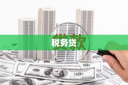 索县税务贷